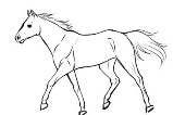 Малювати коня поетапно олівцем легко. Як намалювати коня.